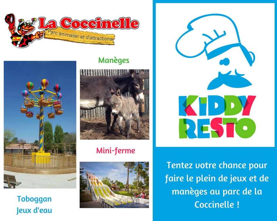 KiddyResto-jeu-coccinelle